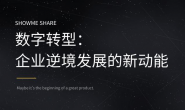 数字转型：企业逆境发展的新动能